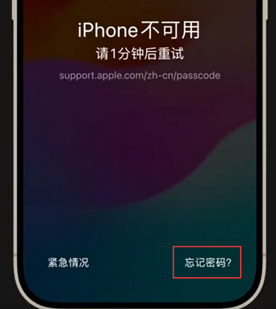 集安苹果手机密码维修分享iPhone忘记了刚设置的密码 