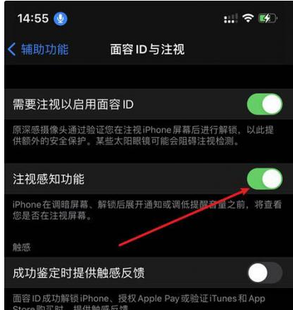 集安苹果14维修网点分享iPhone14注视感知功能有什么用 